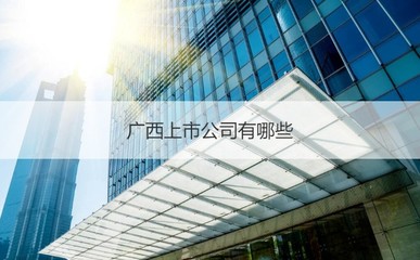 广西新进环保科技南宁分部概览、广西上市公司盘点及道路普通货运解析